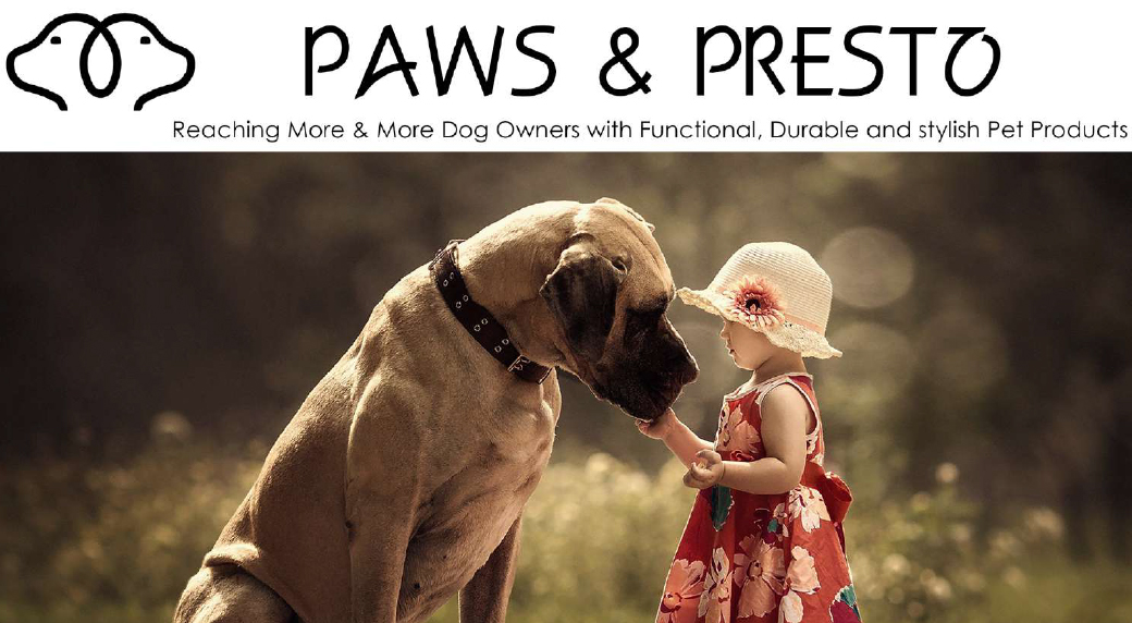 Paws & Presto Case Study | Pet Brand Digital Growth